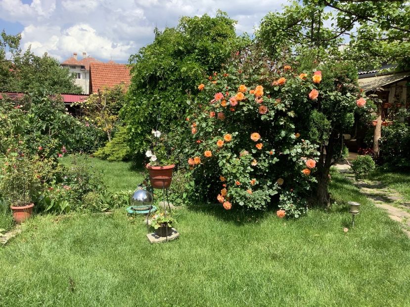 9 iunie 2020 - Westerland