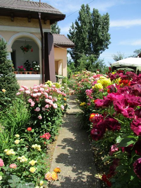  - Gradina 2020