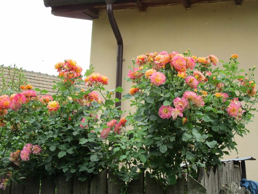  - Prieure de St Cosme