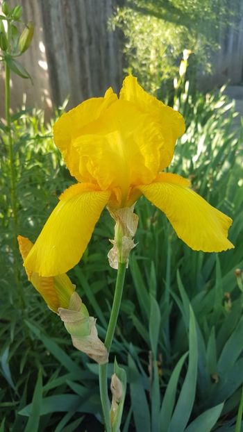  - w acasa la parinti