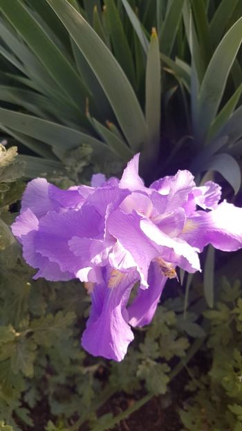  - w acasa la parinti