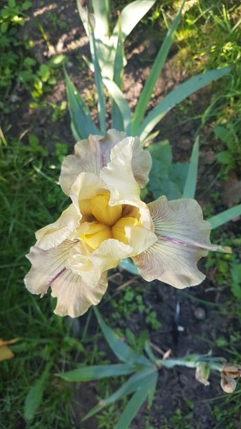  - w acasa la parinti