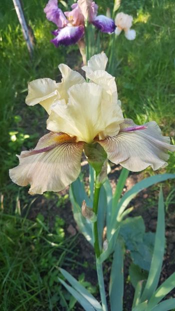  - w acasa la parinti