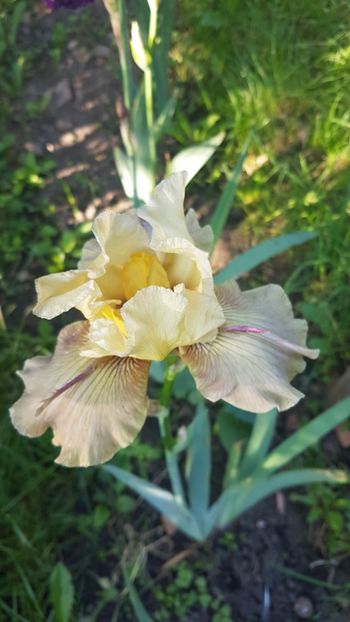  - w acasa la parinti