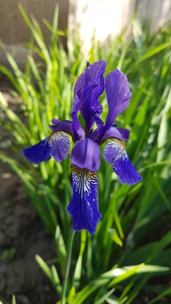  - w acasa la parinti