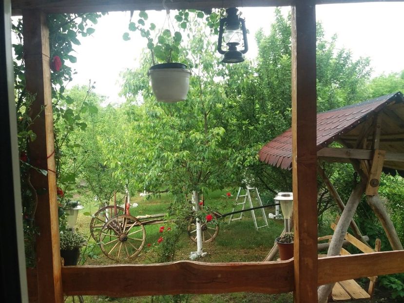  - vara 2019 in curte