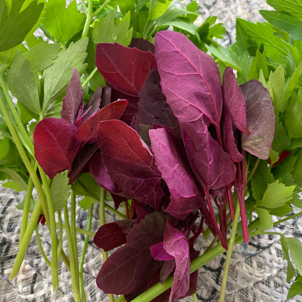 :)  :)  :) - Jurnalul gradinii 2020