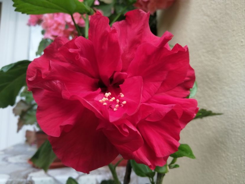  - Balsam pentru suflet