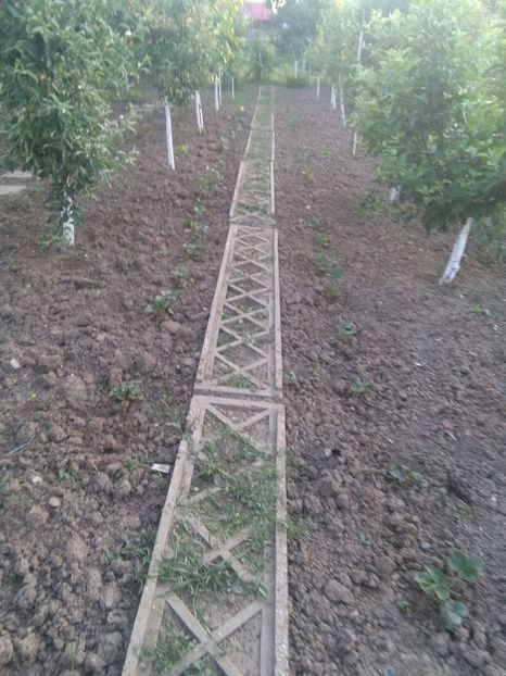  - gradina si livada