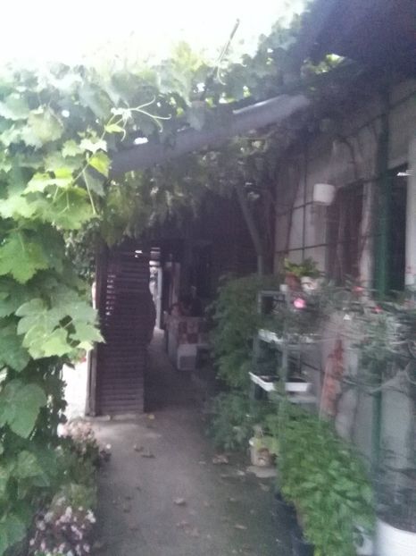  - gradina si livada