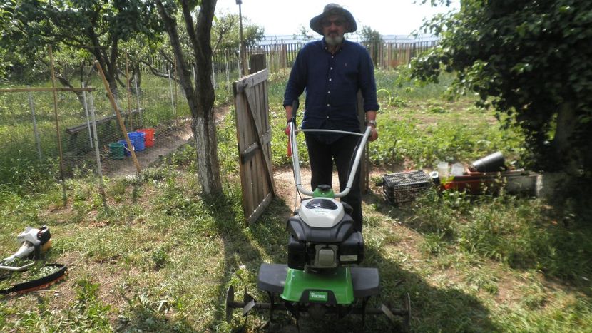  - LIVADA CU POMI SI GRADINA DE LEGUME