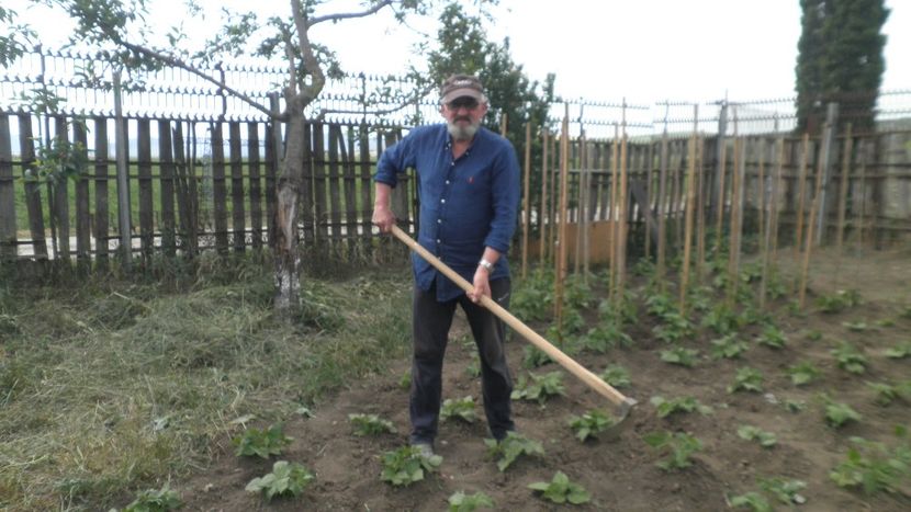  - LIVADA CU POMI SI GRADINA DE LEGUME