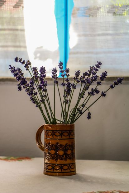  - Casa cu Stuf Greci jud Tulcea