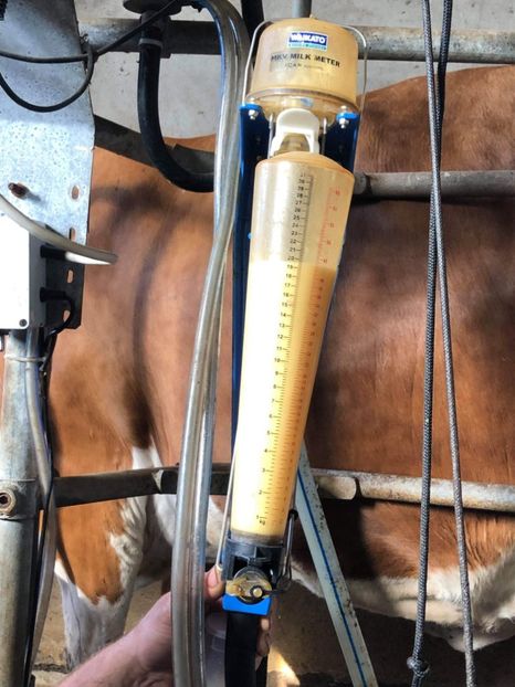 received_262648901462945 - un alt inceput