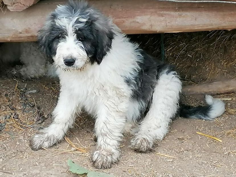 thumbnail (4) - Cuibul Z