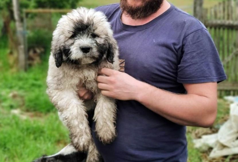 thumbnail (3) modifi - Cuibul Z