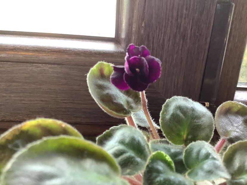  - Dark Night of The Soul