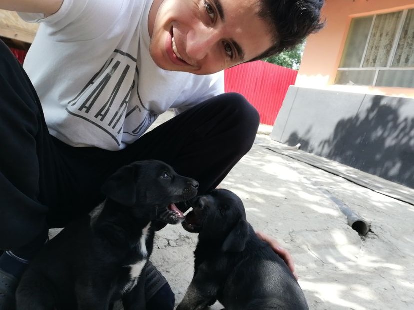  - 2020-Paznicul porumbeiilor