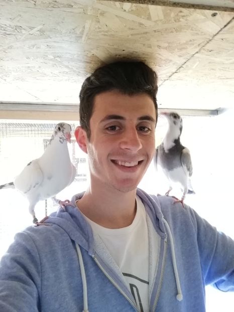  - 2020-Pui Seria a doua