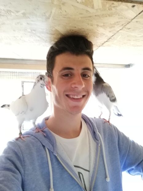  - 2020-Pui Seria a doua