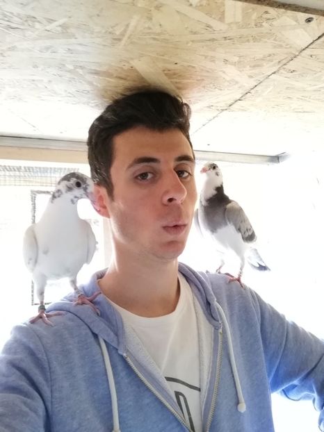  - 2020-Pui Seria a doua