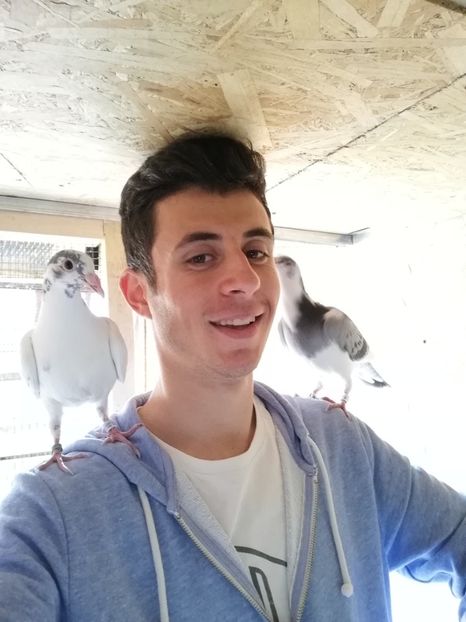  - 2020-Pui Seria a doua