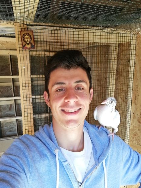  - 2020-Pui Seria a doua