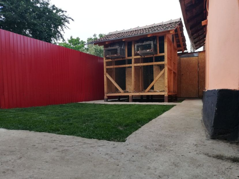  - 2020-Pui Seria a doua