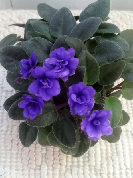 4 iun - Sundown Trail