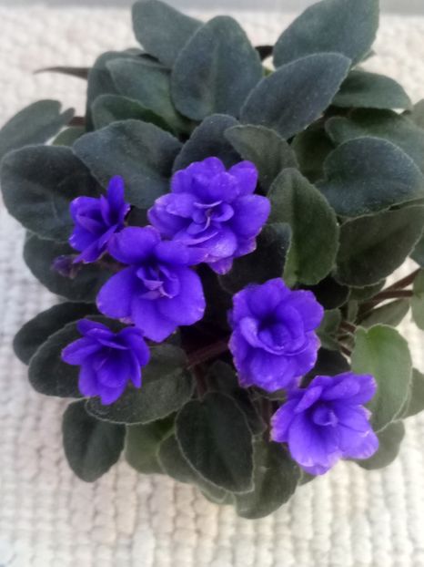 4 iun - Sundown Trail