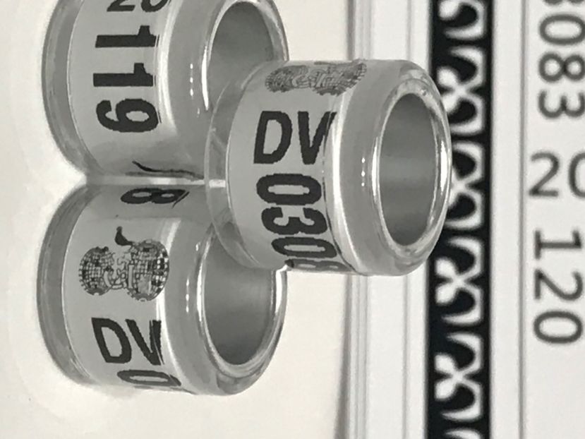 3BE93455-71D4-492C-A417-A979C715B9F4 - Inele FCI SPANIA Olanda Belgia Germania 2020 cu talon