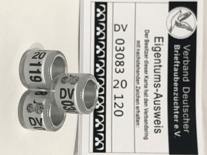 A3A11E64-DE7D-4D8A-8249-D3505BD590C3 - Inele FCI SPANIA Olanda Belgia Germania 2020 cu talon