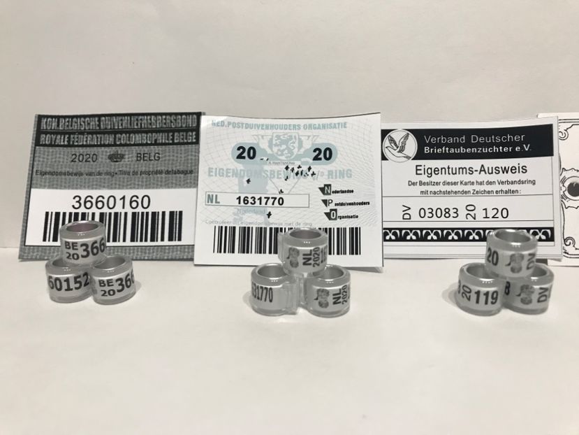 8A95D860-6D13-4BC9-ABDA-D04D392A3E71 - Inele FCI SPANIA Olanda Belgia Germania 2020 cu talon