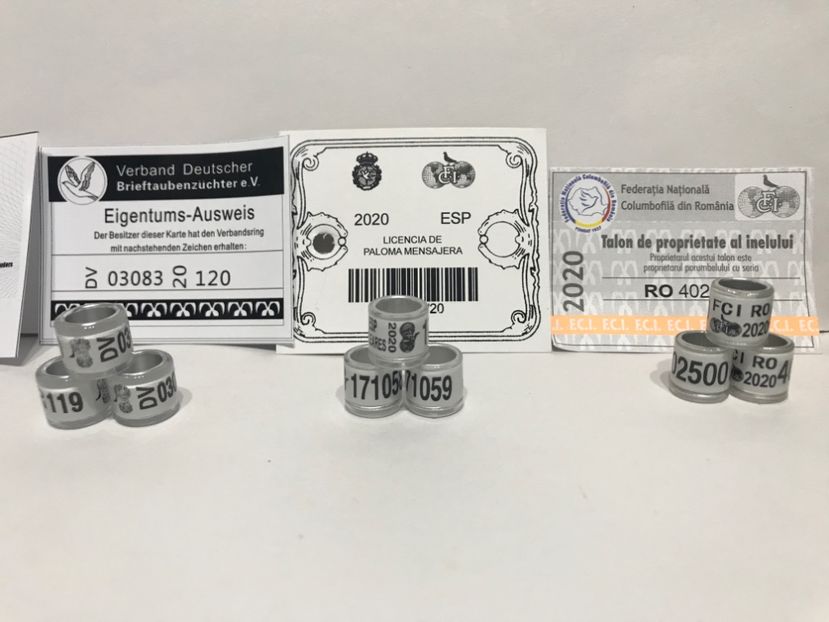 1AE41755-FA5E-479A-8DBA-89D9EDE2A0E4 - Inele FCI SPANIA Olanda Belgia Germania 2020 cu talon