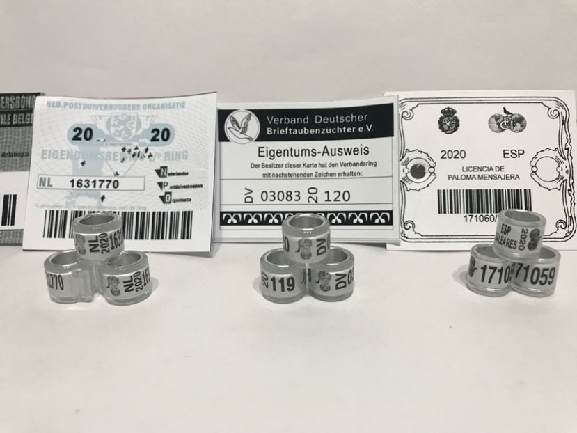 9446A162-59B9-43D0-9137-B8BA837A9940 - Inele FCI SPANIA Olanda Belgia Germania 2020 cu talon