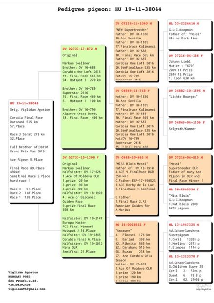 E4E726FA-1313-4D65-A0F8-5301B99B768A - Achizitii 2019
