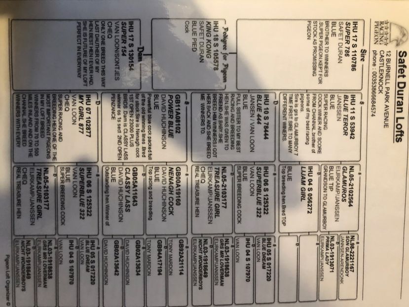 13D7D11E-D358-4728-8D57-EBA438E47BD7 - Achizitii 2019