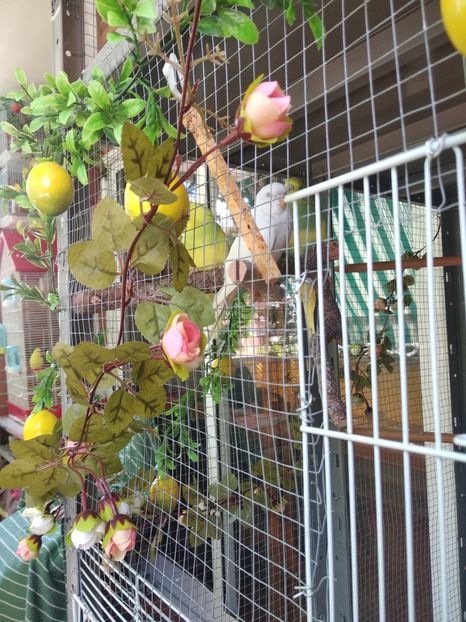  - Ce detin in Spania