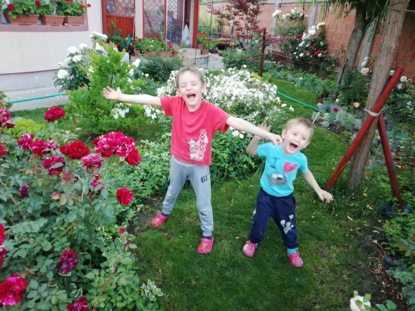  - AA - In  gradina mea