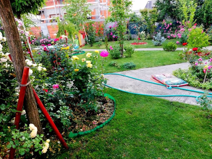  - Cum a evoluat gradina mea