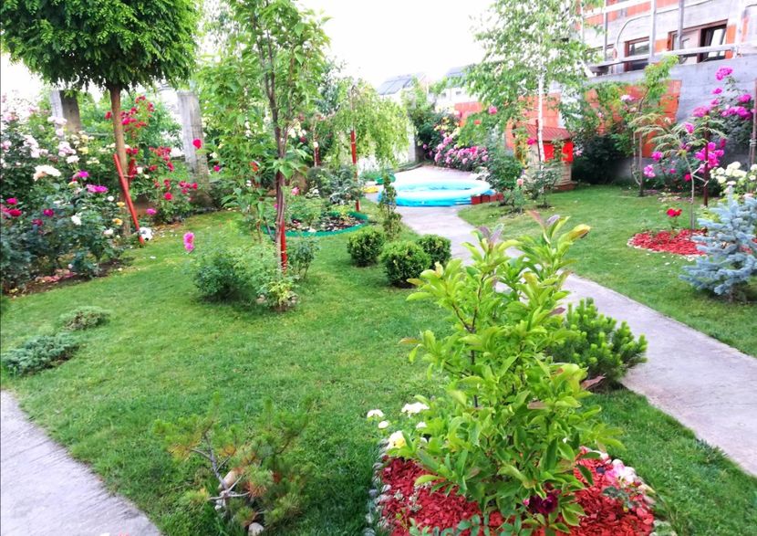  - Cum a evoluat gradina mea