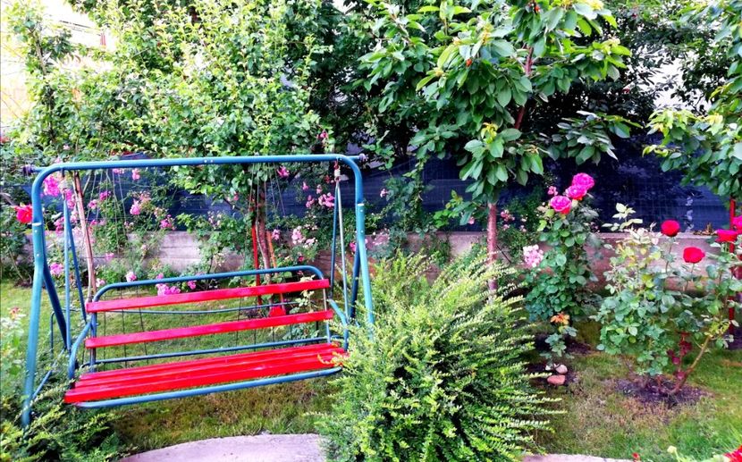  - Cum a evoluat gradina mea