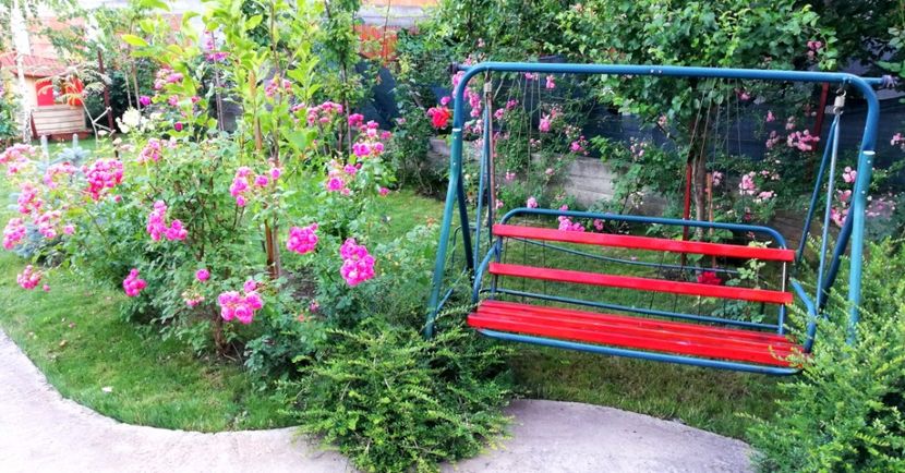  - Cum a evoluat gradina mea