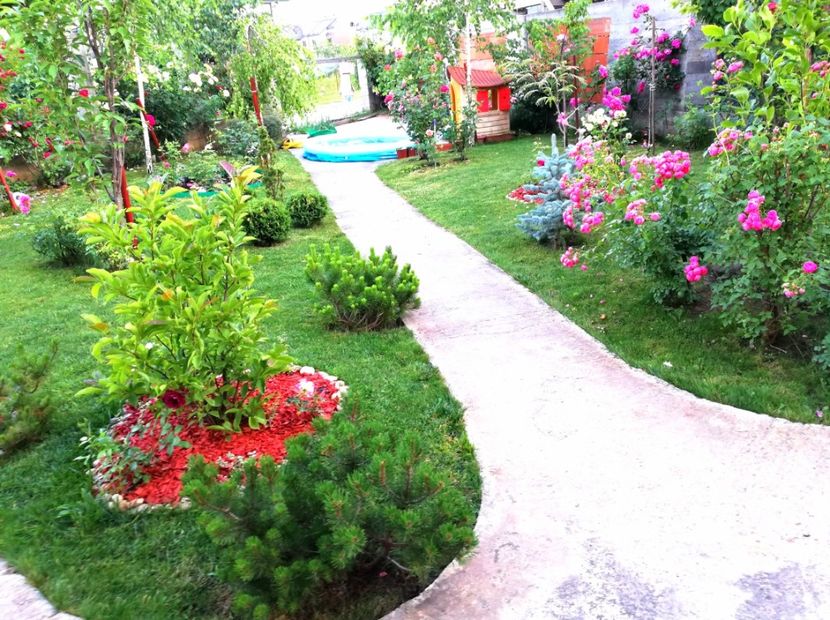  - Cum a evoluat gradina mea