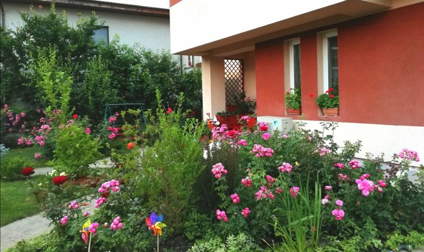  - Cum a evoluat gradina mea