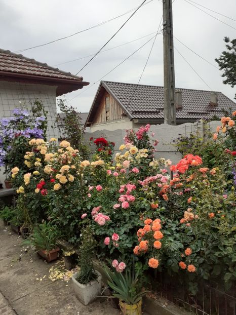  - Gradina 2020-2021