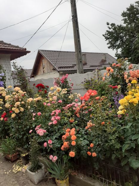  - Gradina 2020-2021