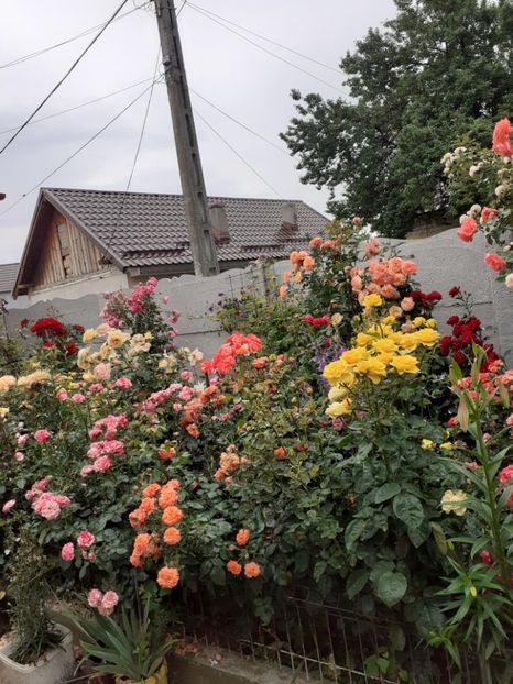  - Gradina 2020-2021