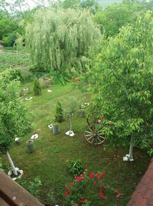 - curtea in vara 2020