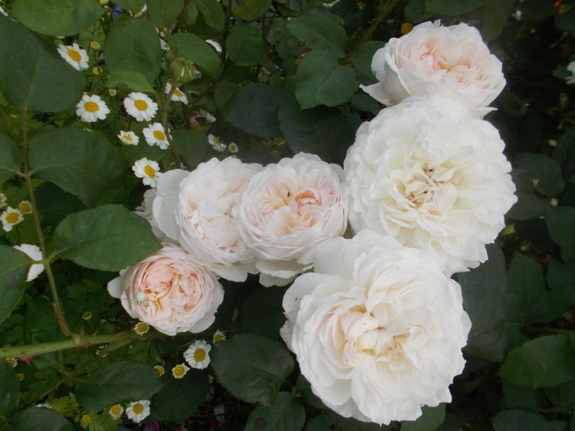  - Winchester Cathedral